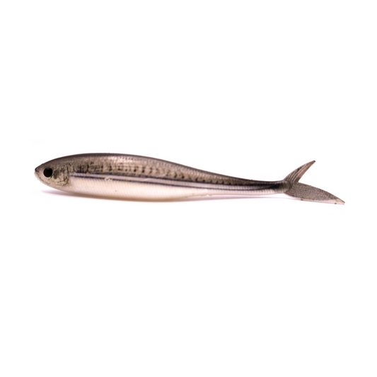 Garfish Fish Tail Minnow