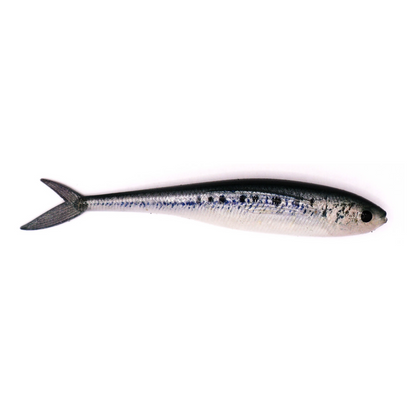 WA Pilchard Fish Tail Minnow