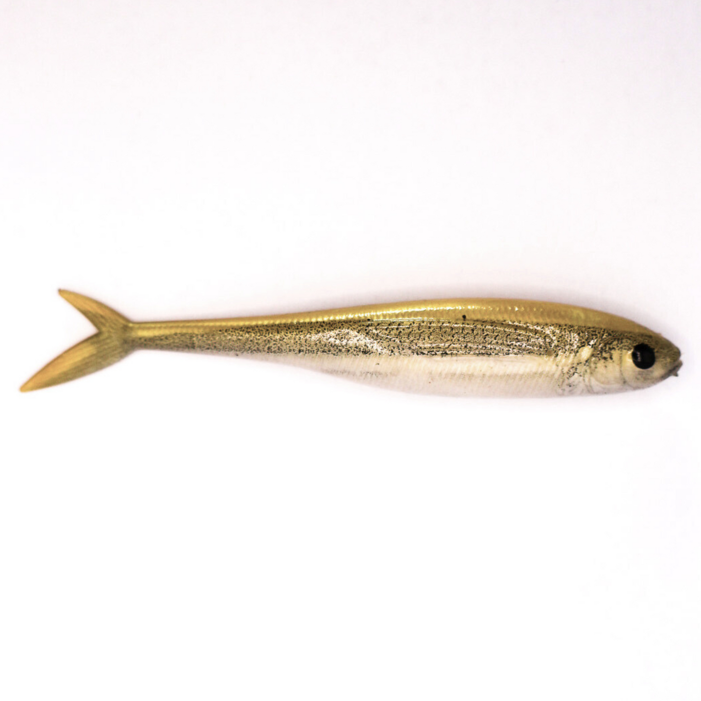 White Bait Fish Tail Minnow