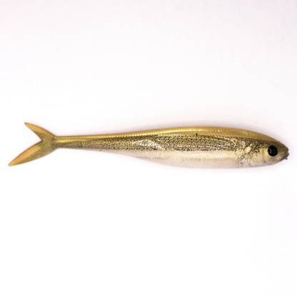 White Bait Fish Tail Minnow